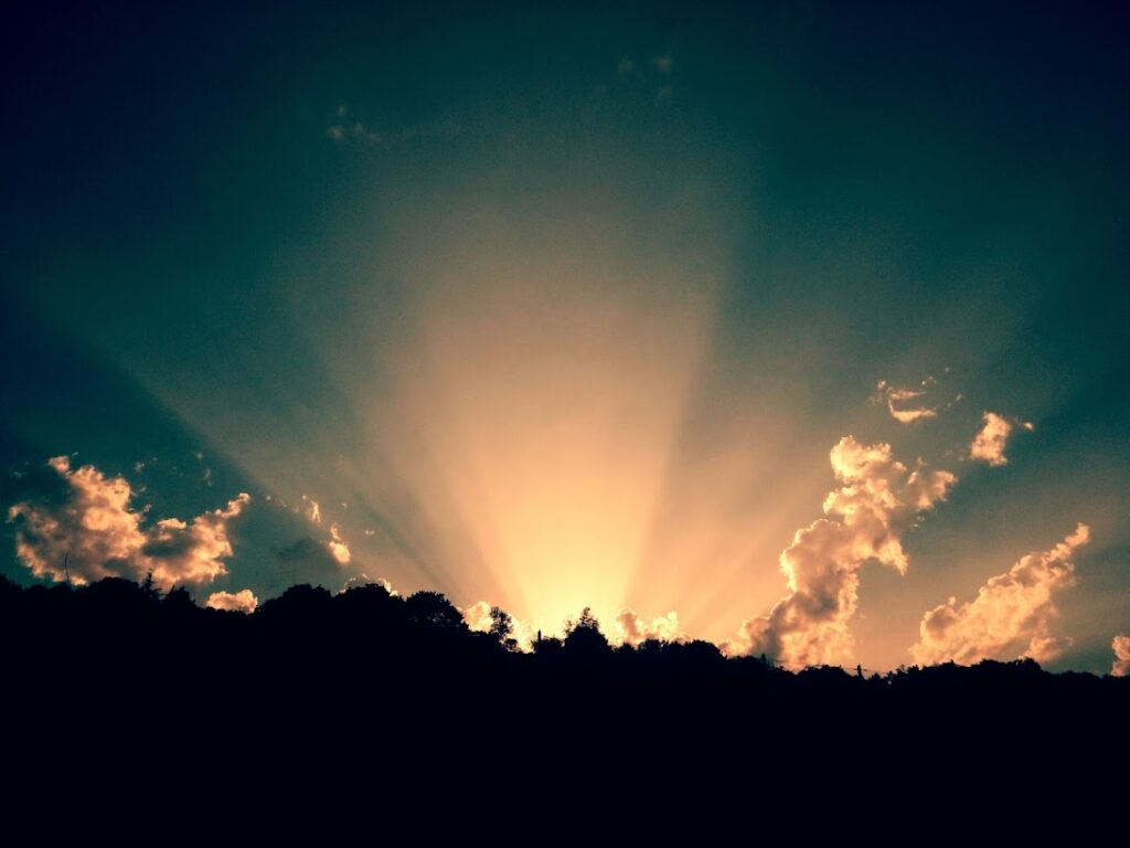 Lever de soleil au-dessus d'une forêt